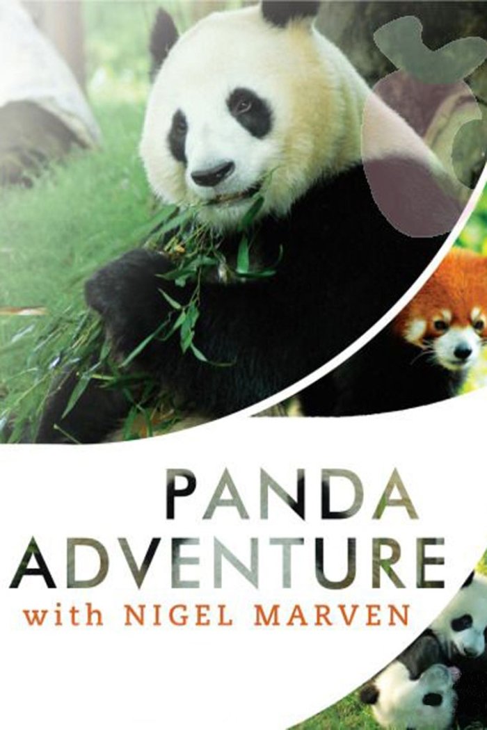 Poster de Panda Adventure with Nigel Marven
