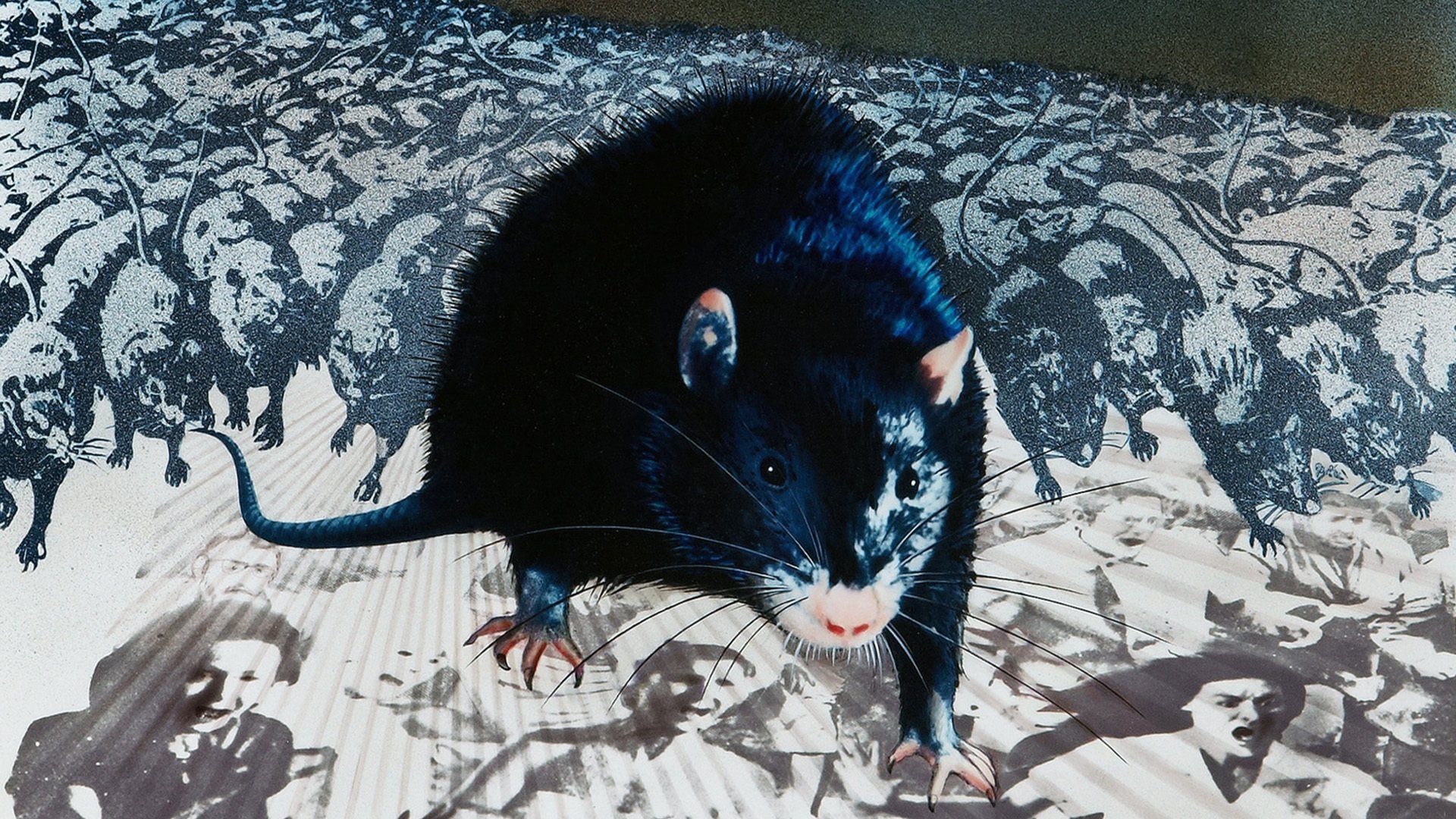 Backdrop image
