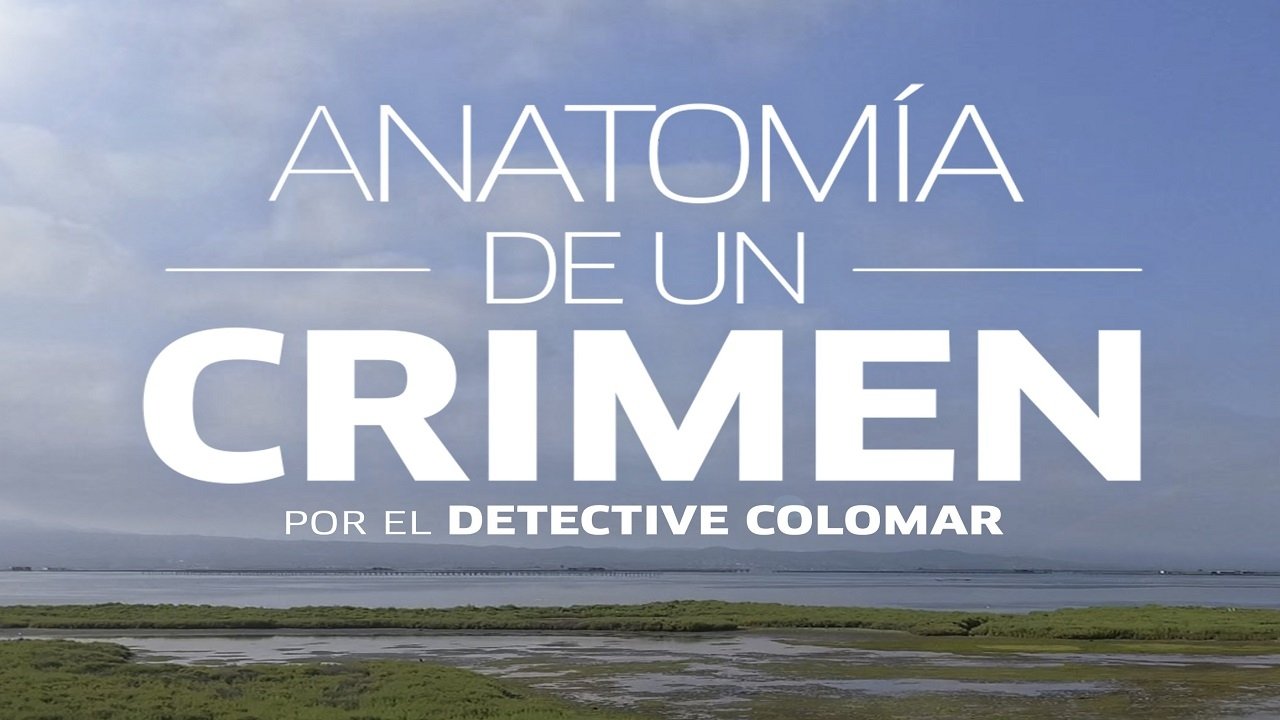 Anatomía de un crimen