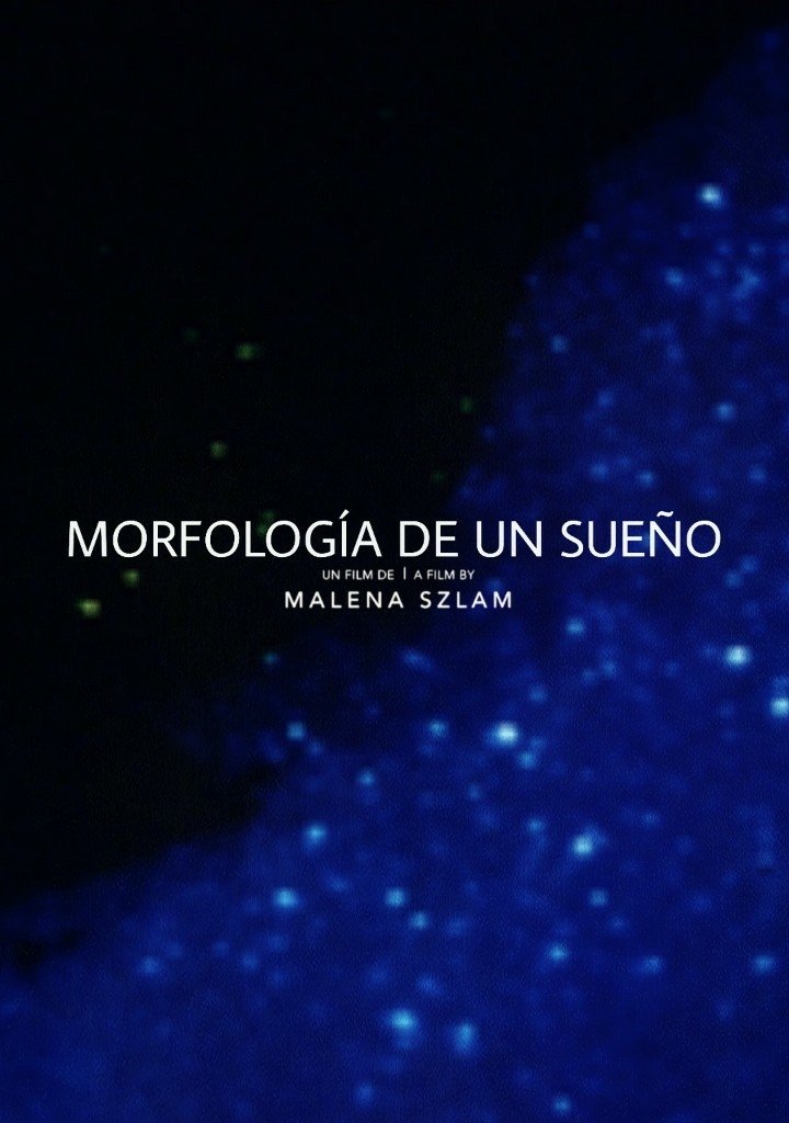 Poster de Morfología de un sueño