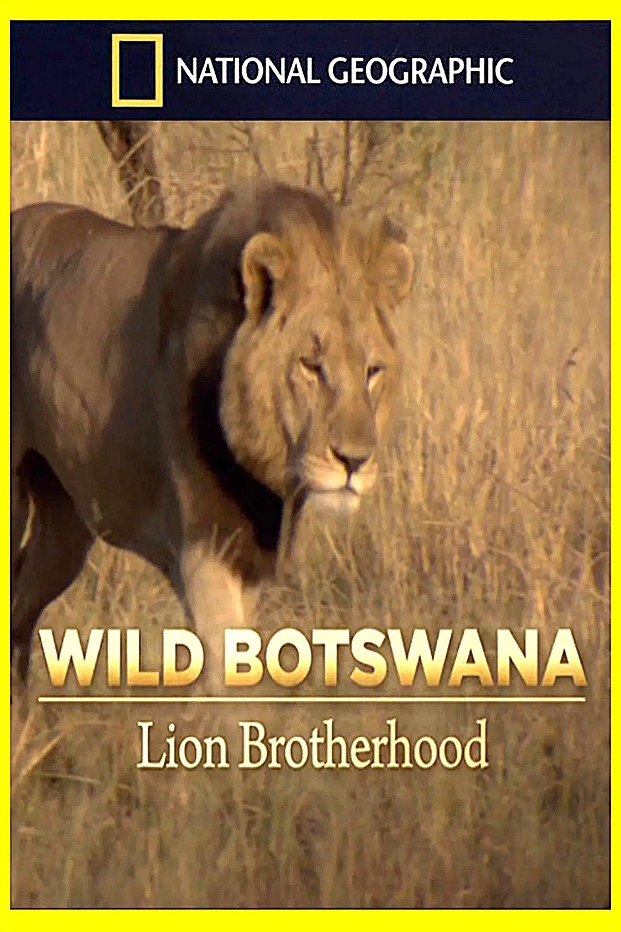 Poster de Lion Brotherhood