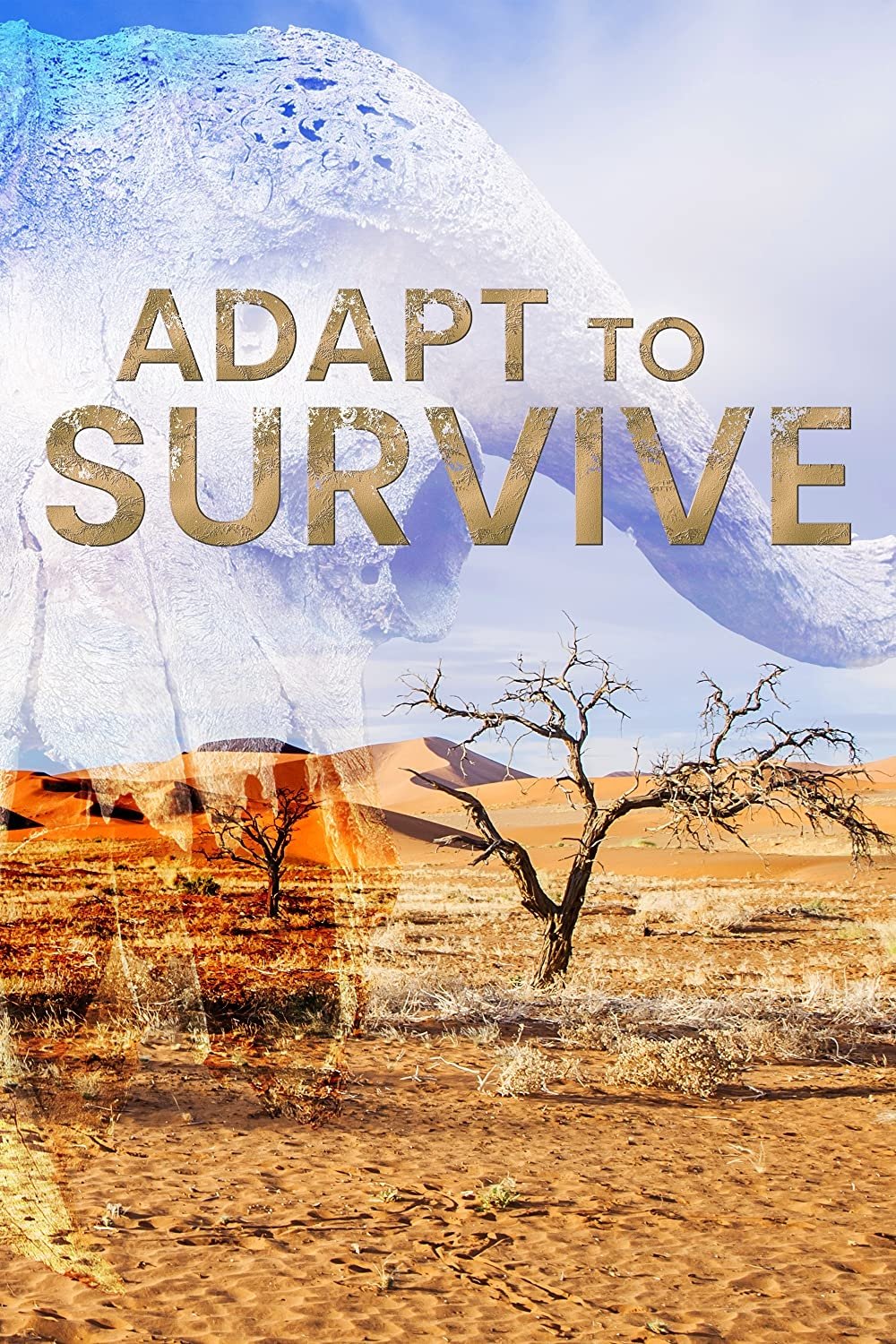 Poster de Adapt to Survive