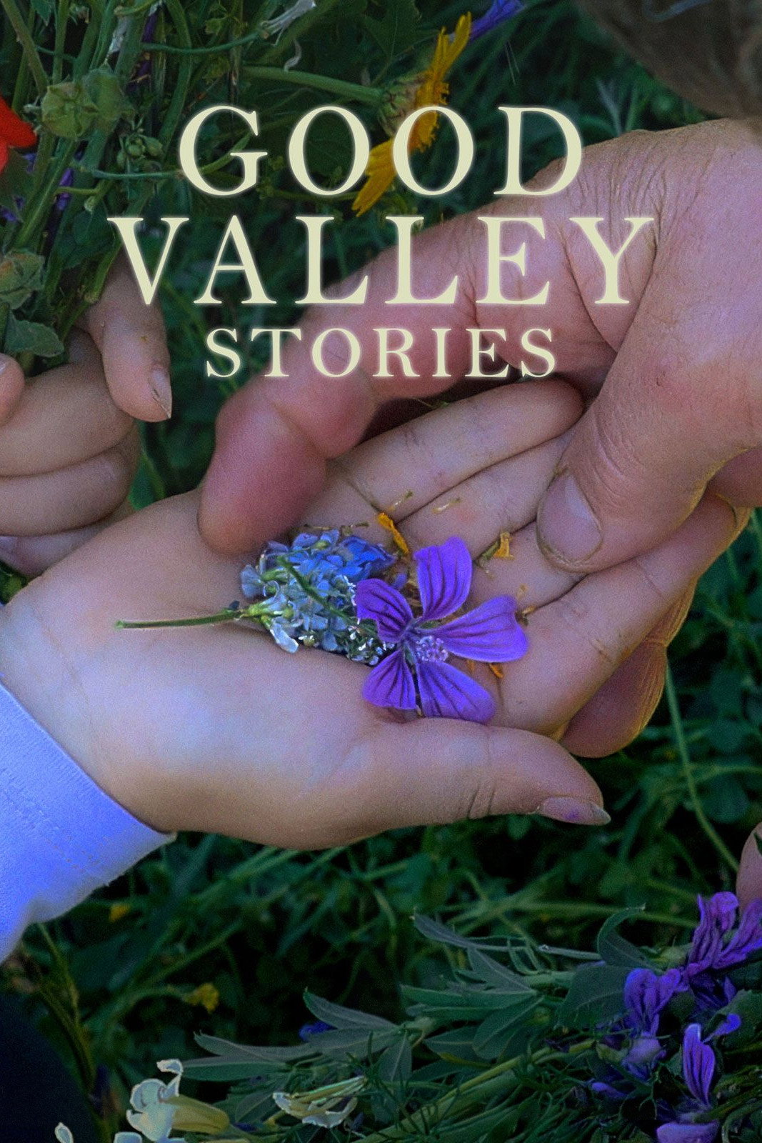 Good Valley Stories