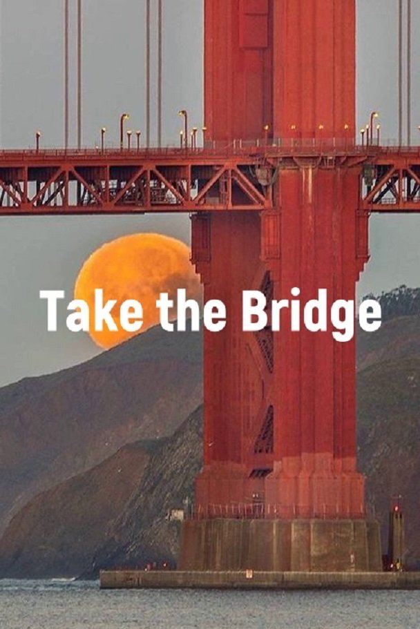 Poster de Take The Bridge