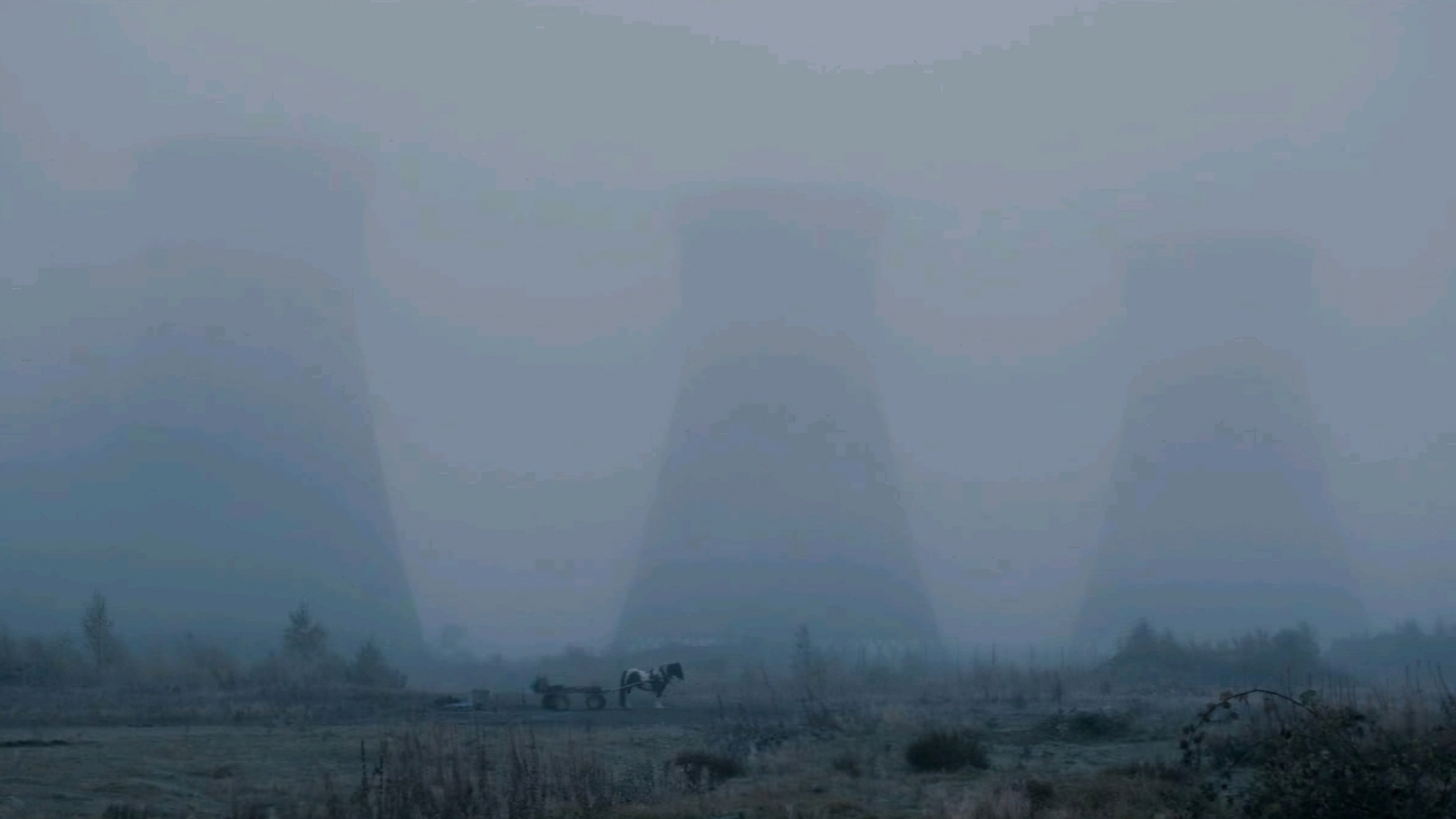 backdrops