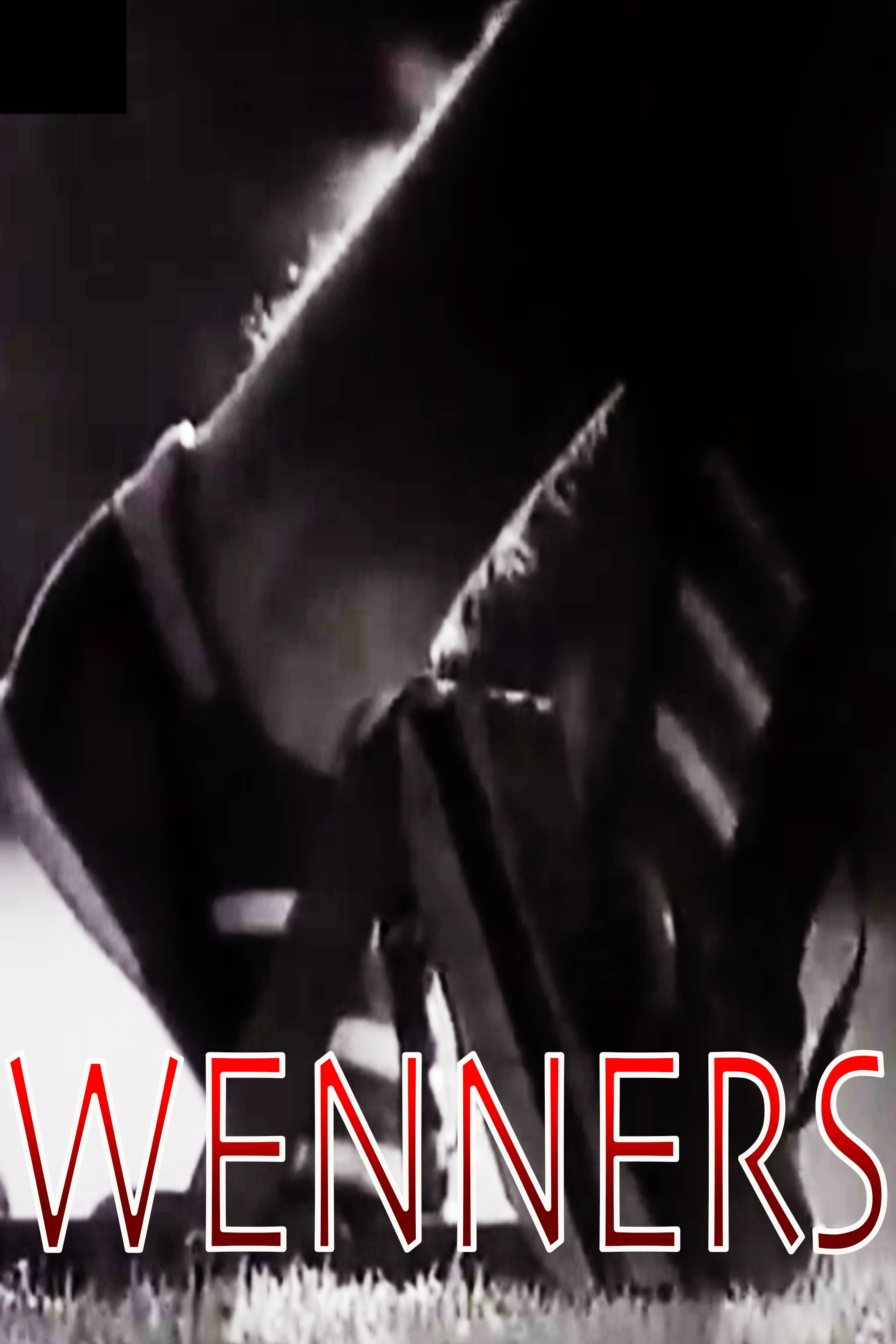 Poster de Wenners