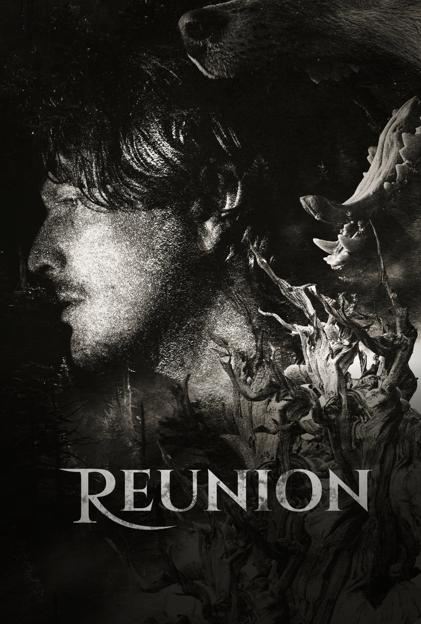 Poster de Reunion