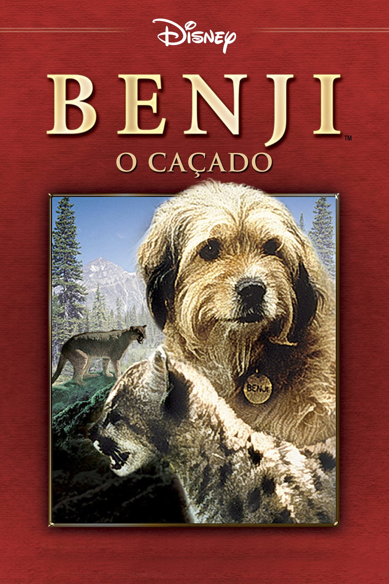 Poster de Benji - Um Cão Desafia a Selva