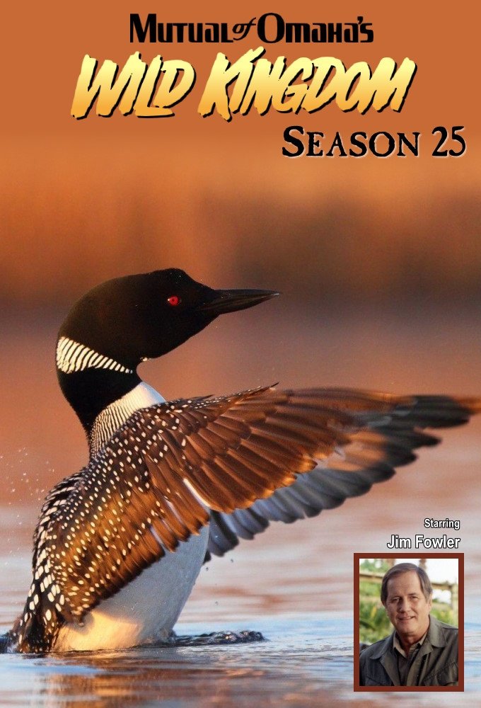 Poster de Temporada 25
