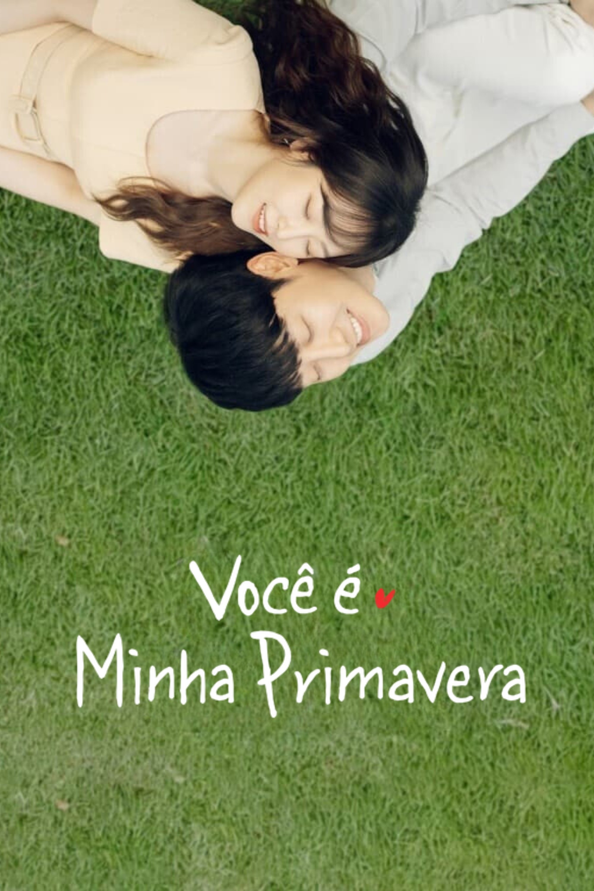 Poster de Você é Minha Primavera