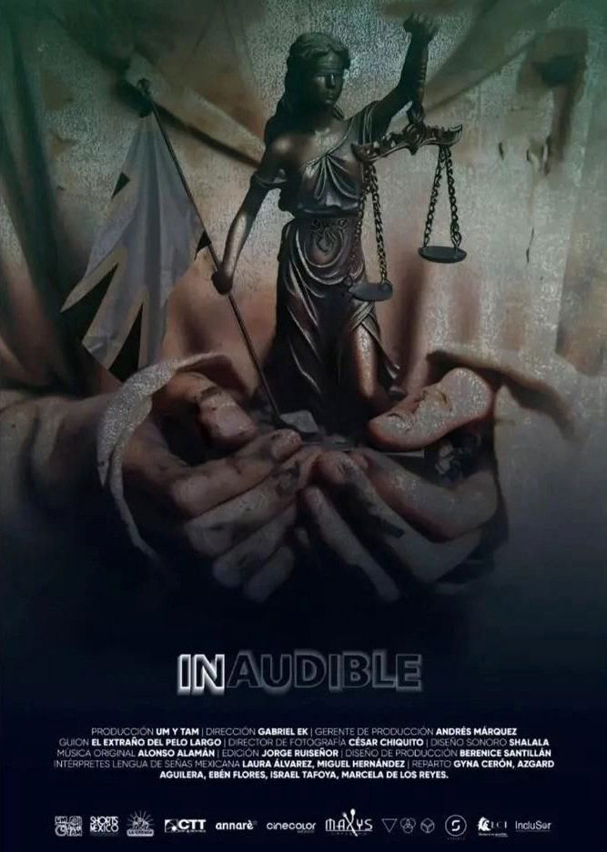 Poster de Inaudible