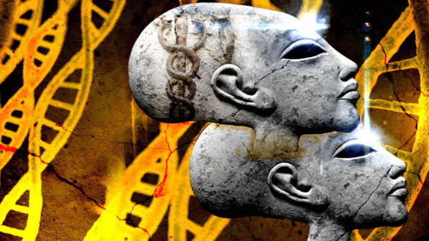 Elongated Head DNA Discovery