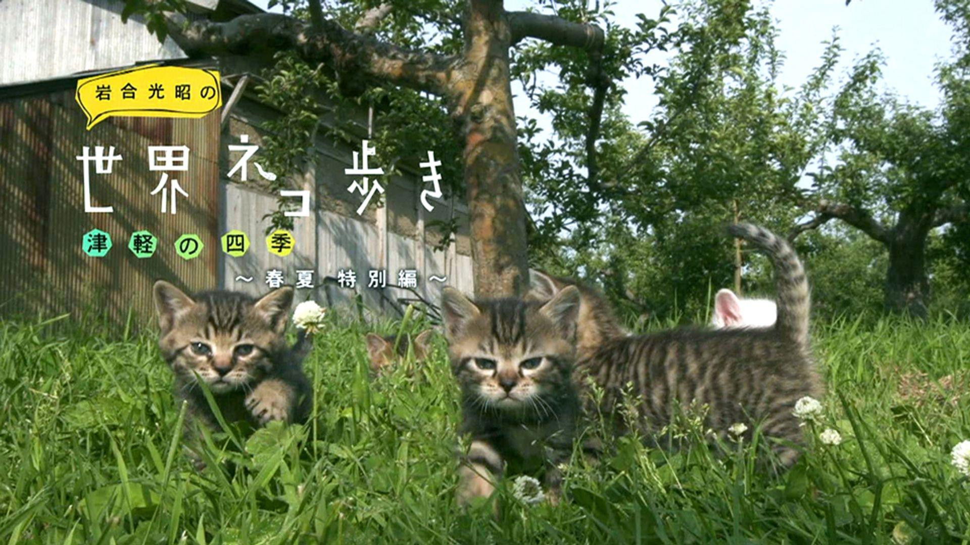 The Four Seasons: Spring & Summer Special