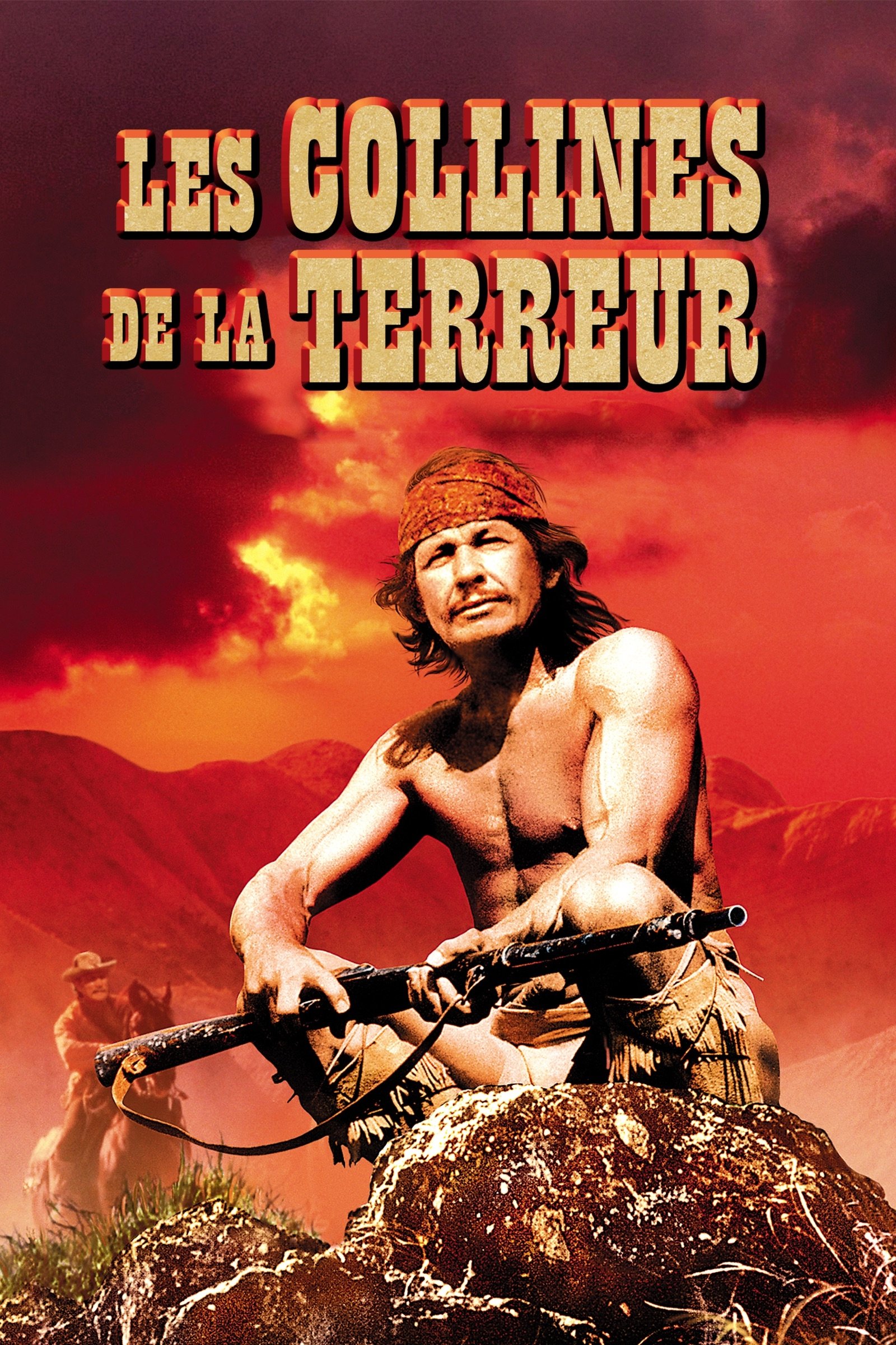 Affiche du film Chato's Land
