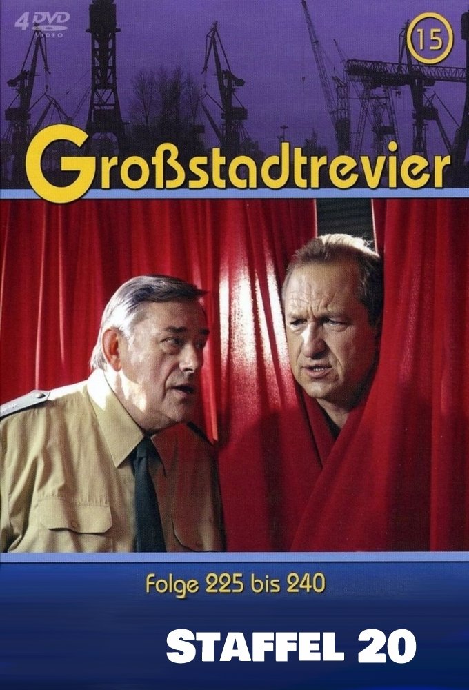 Poster de Temporada 20
