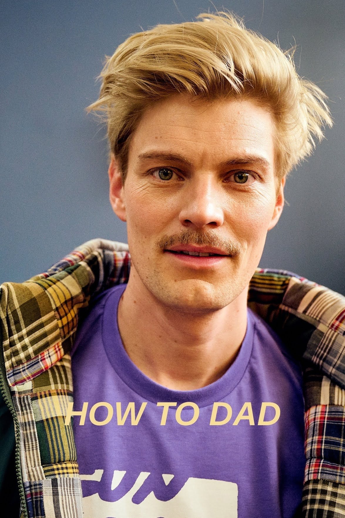 Poster de How to Dad