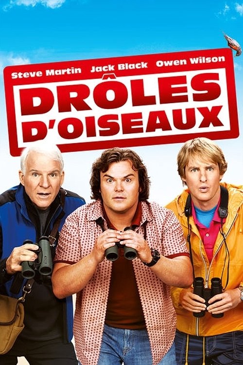 Affiche du film Drôles d'Oiseaux