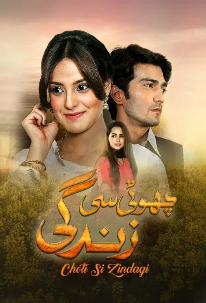Poster de چھوٹی سی زندگی