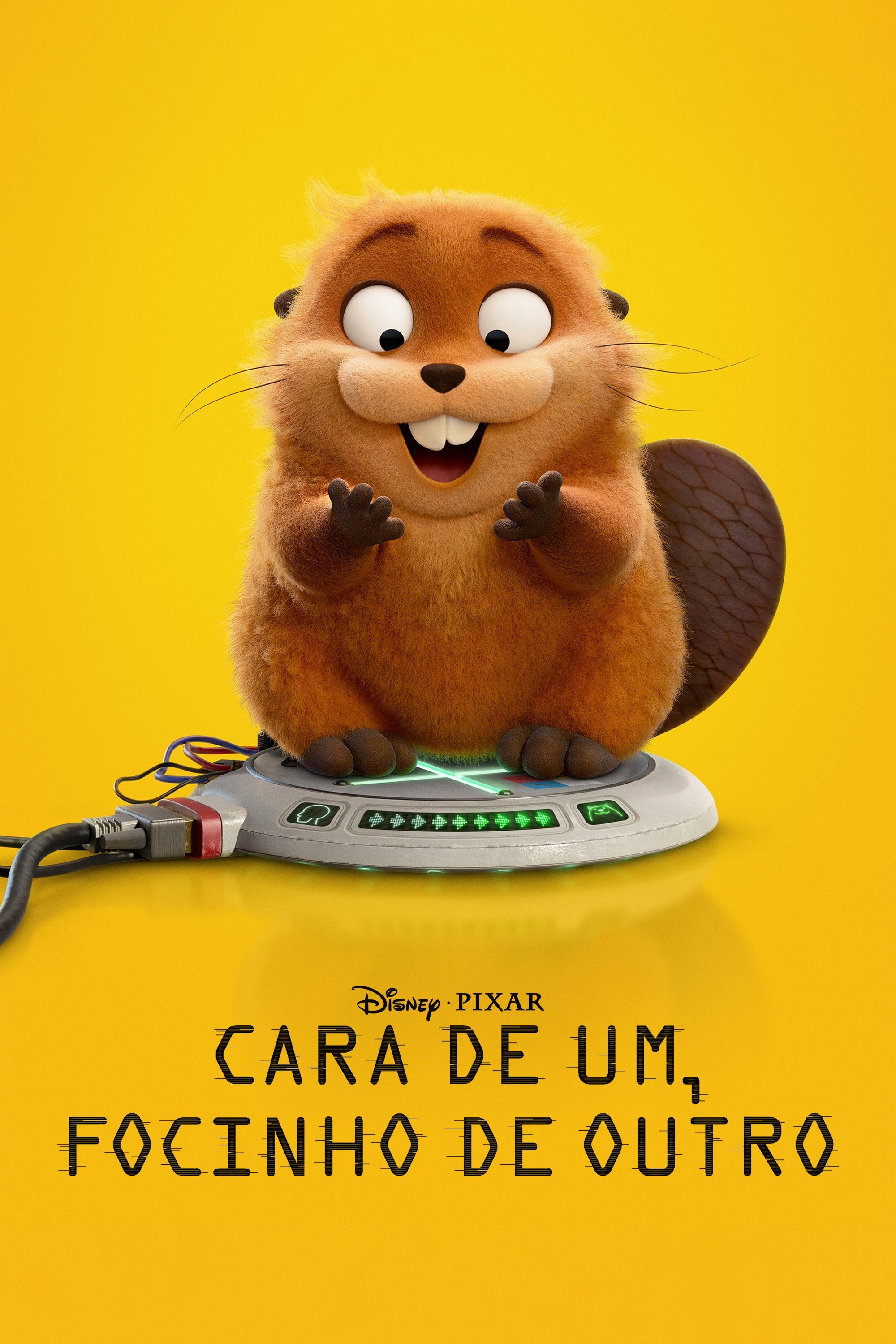 Poster de Cara de Um, Focinho de Outro