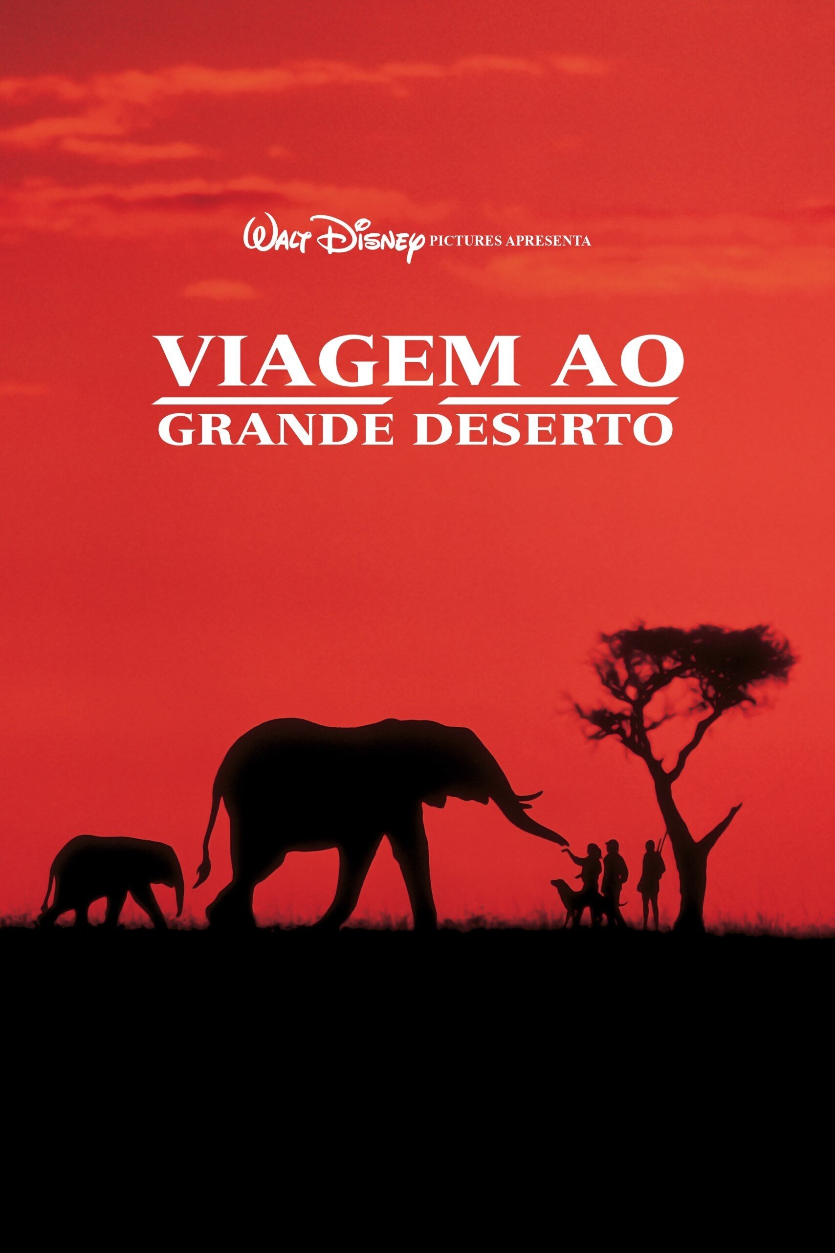 Poster de Viagem ao Grande Deserto