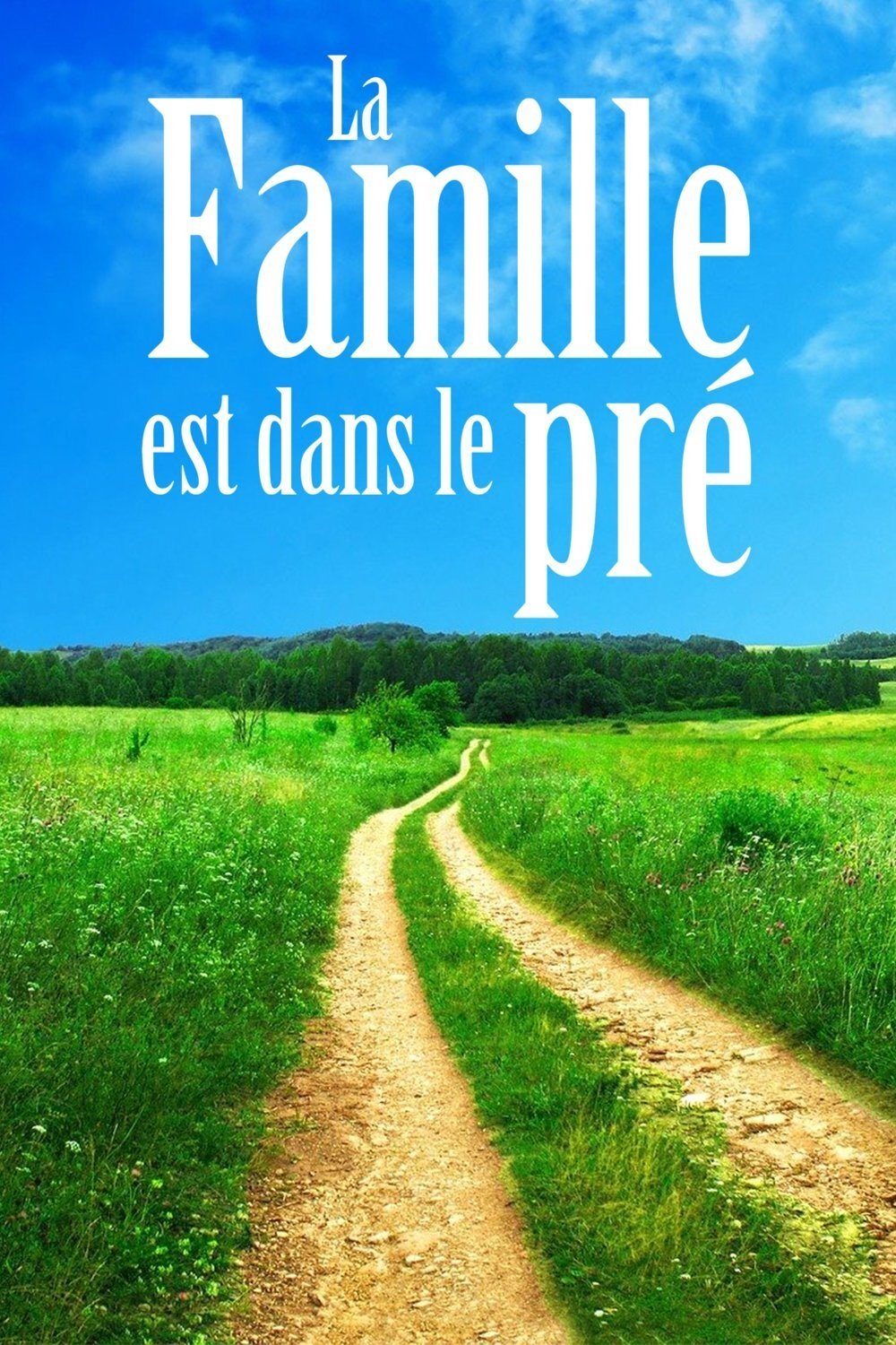 Poster de La famille est dans le pré