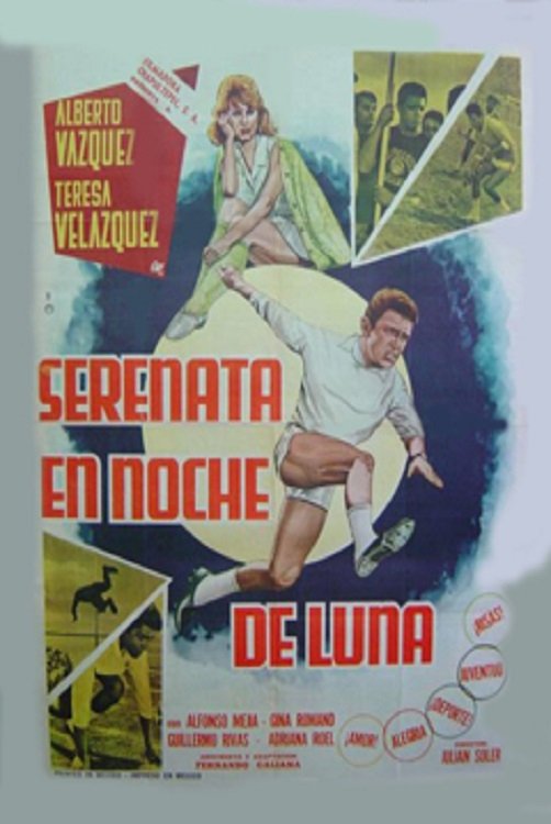 Poster de Serenata en noche de luna