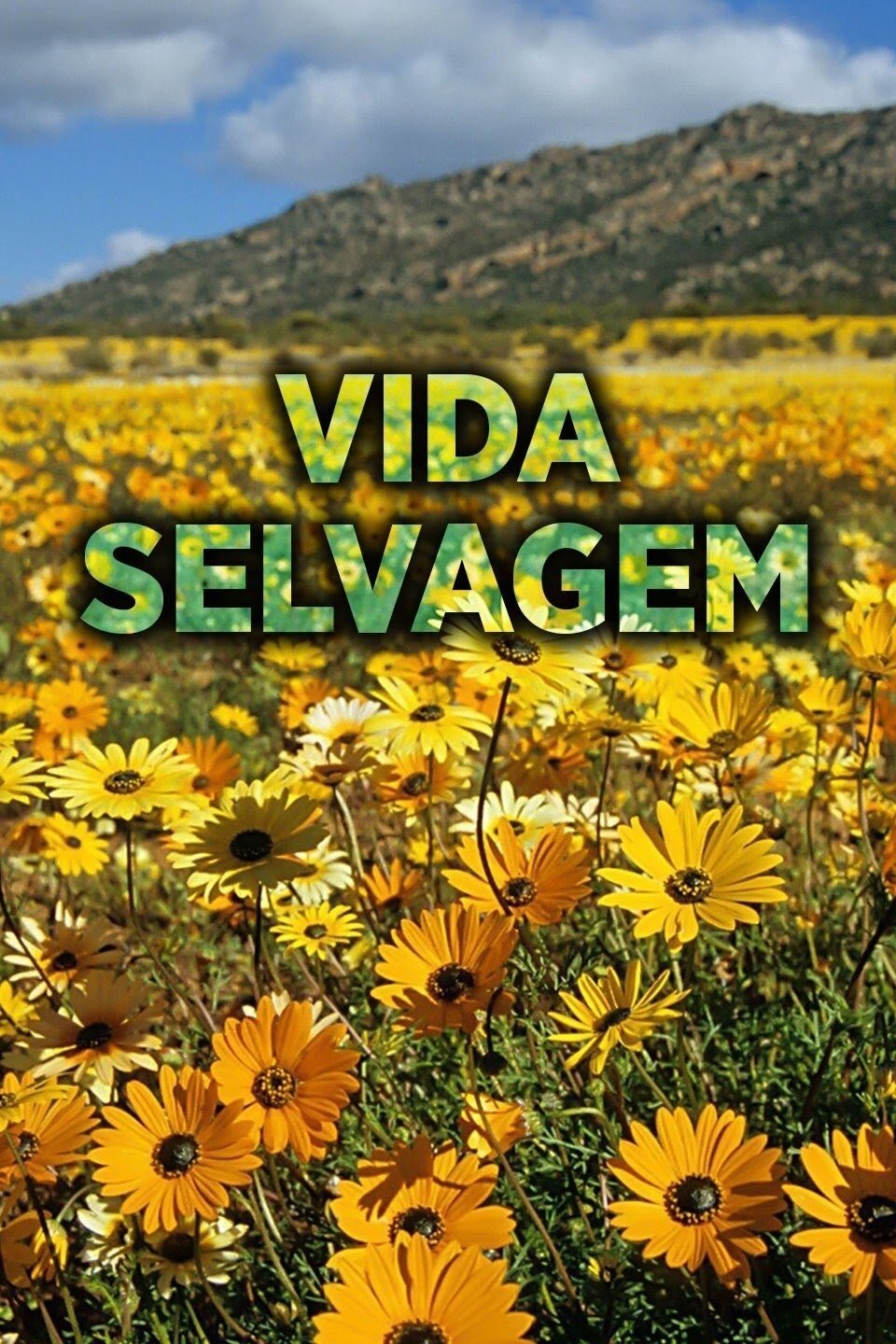 Poster de Vida Selvagem