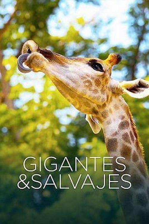 Poster de Gigantes y salvajes