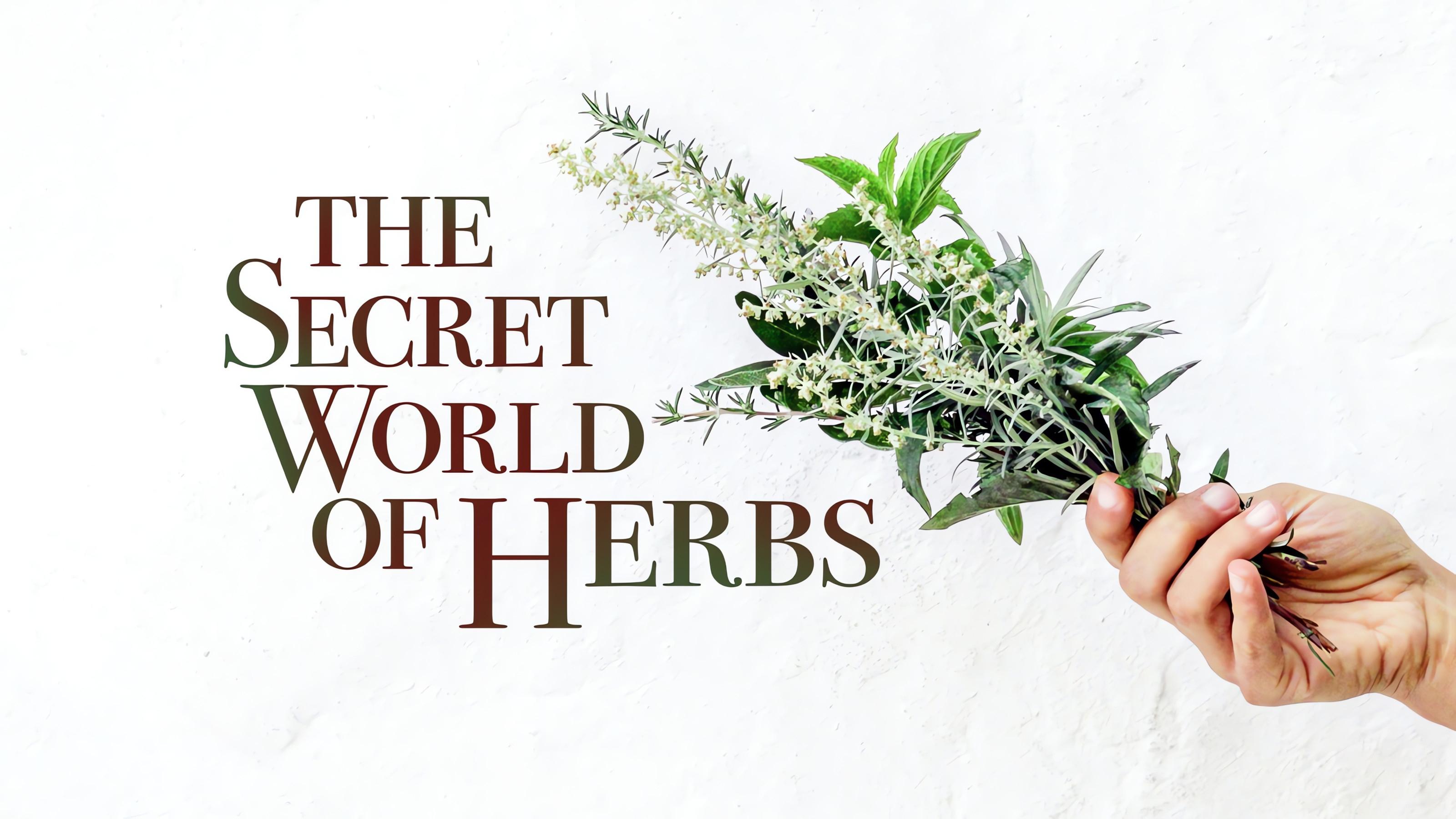 The Secret World of Herbs