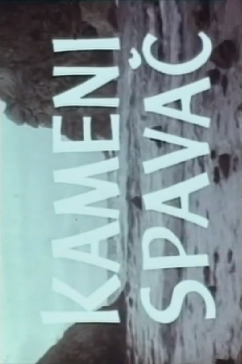 Poster de Kameni spavač