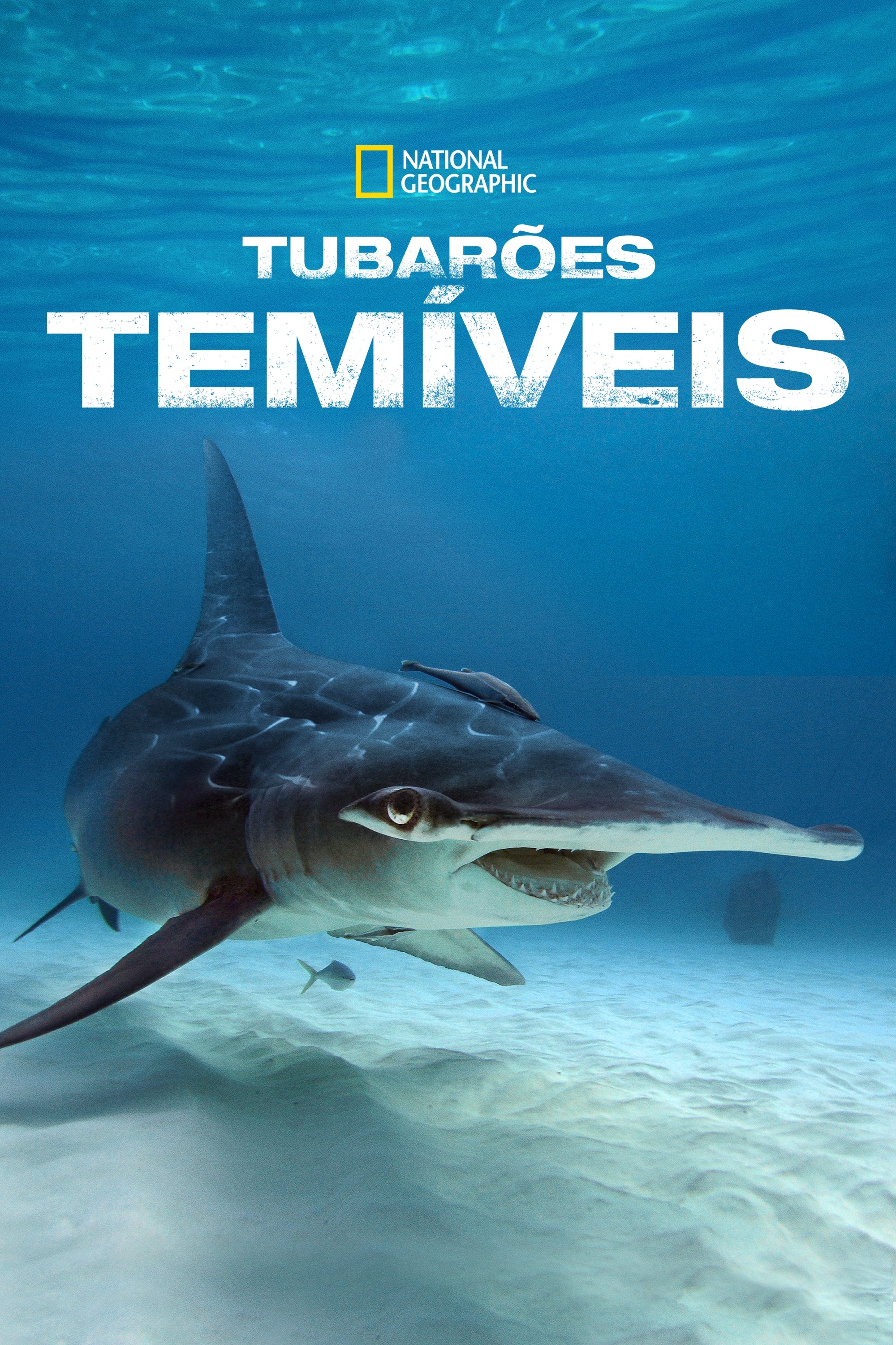 Poster de Tubarões Temíveis