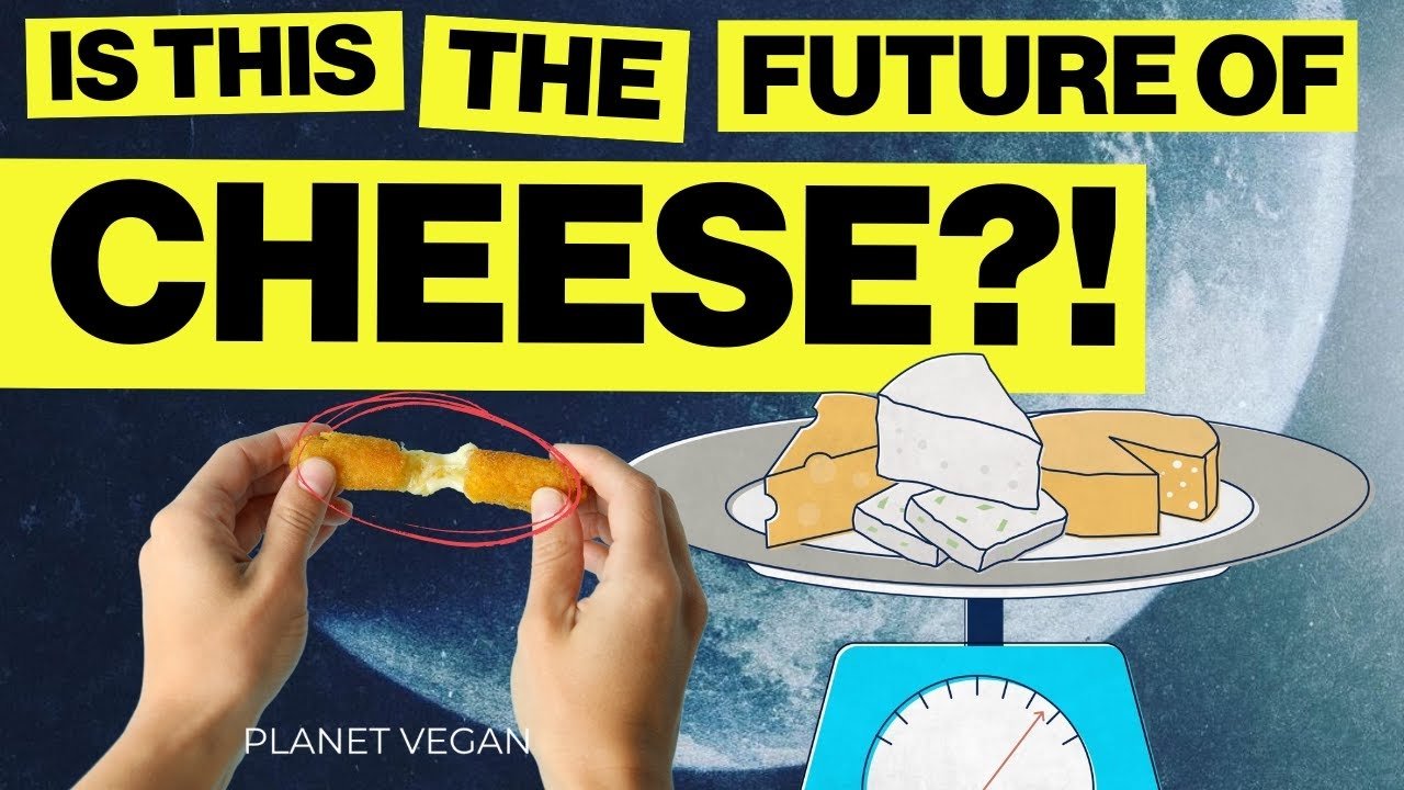 The Future of Cheese