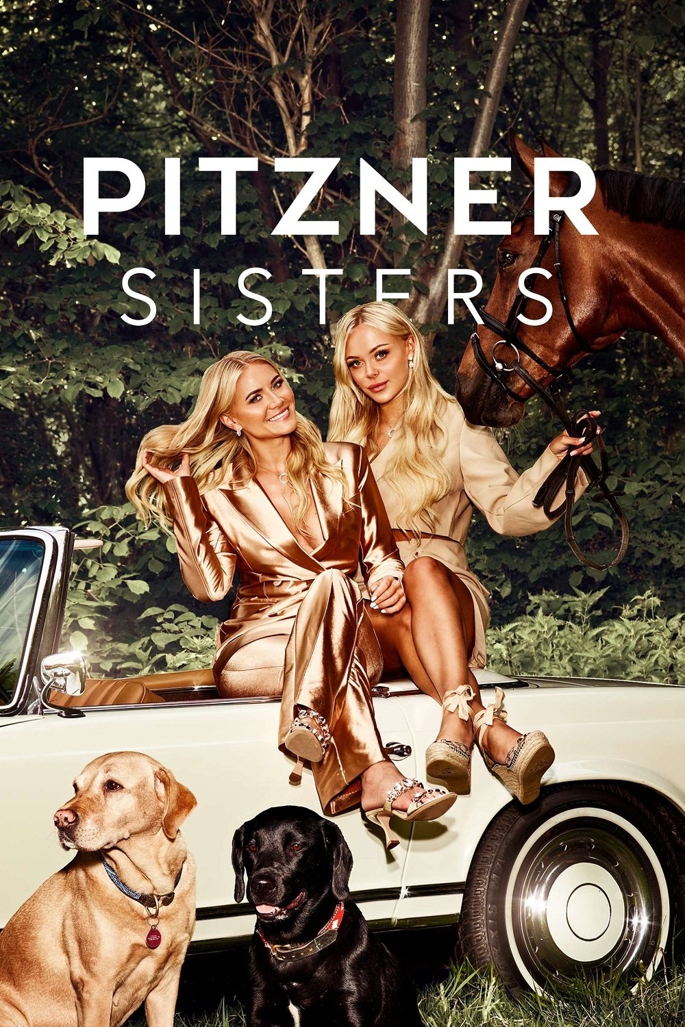 Poster de Pitzner Sisters