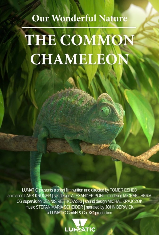 Poster de Our Wonderful Nature - The Common Chameleon