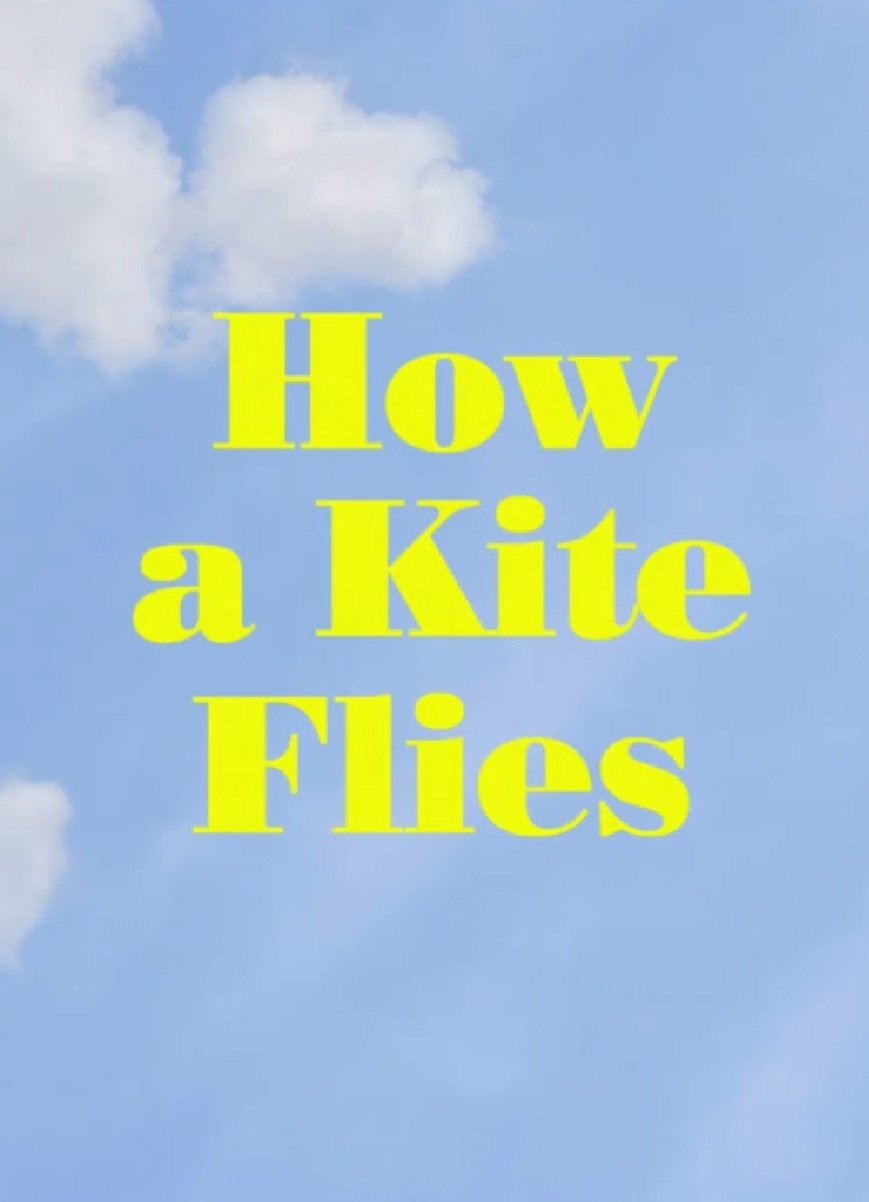 Poster de How a Kite Flies