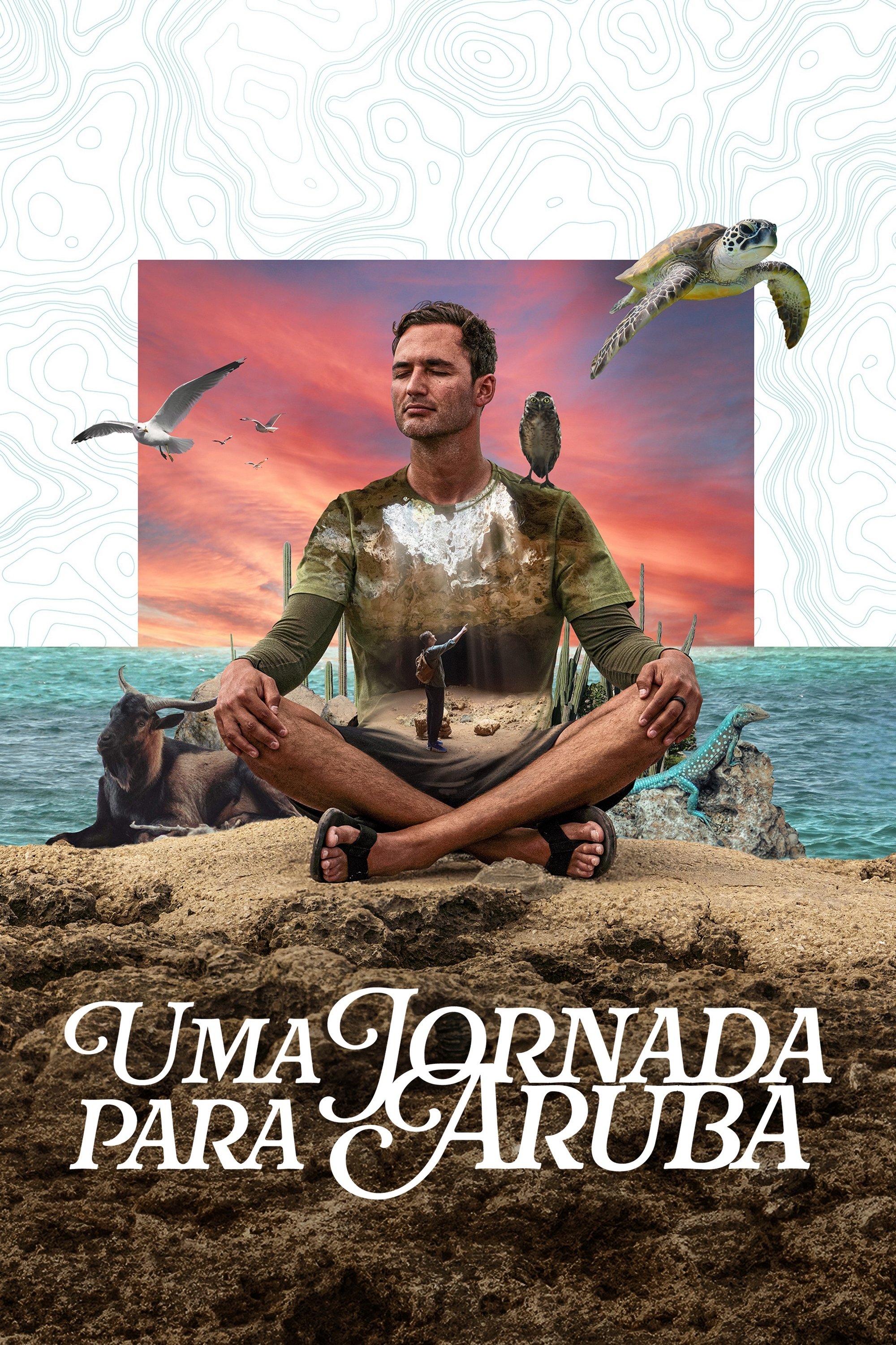Poster de Uma Jornada para Aruba