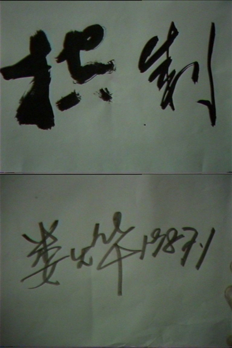Poster de 控制