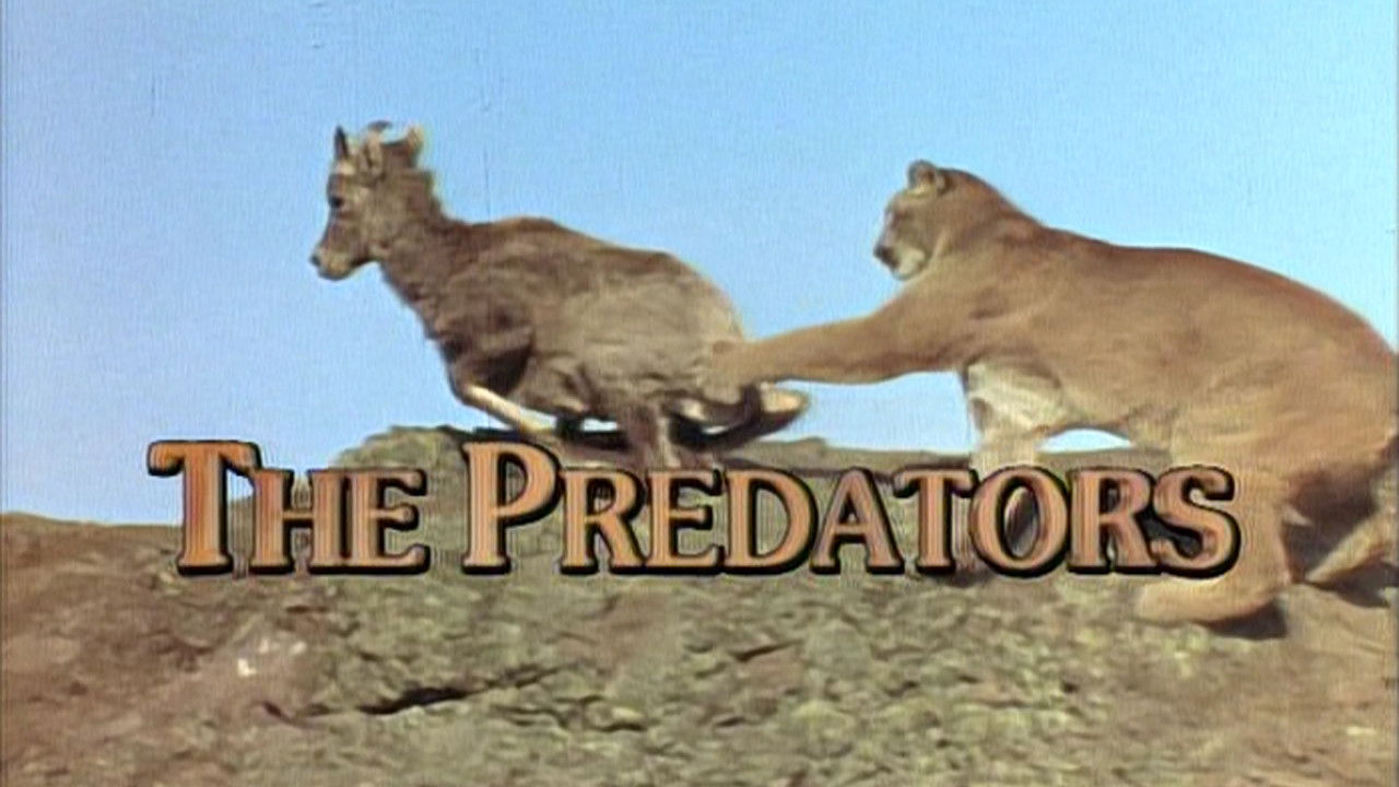 The Predators