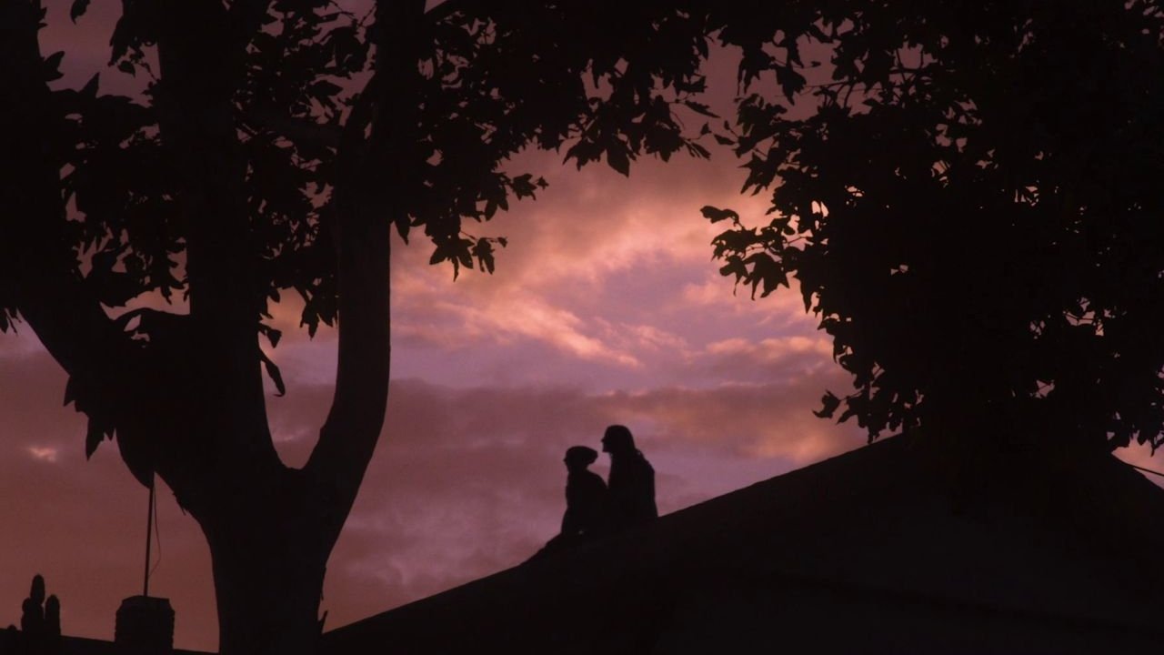 backdrops