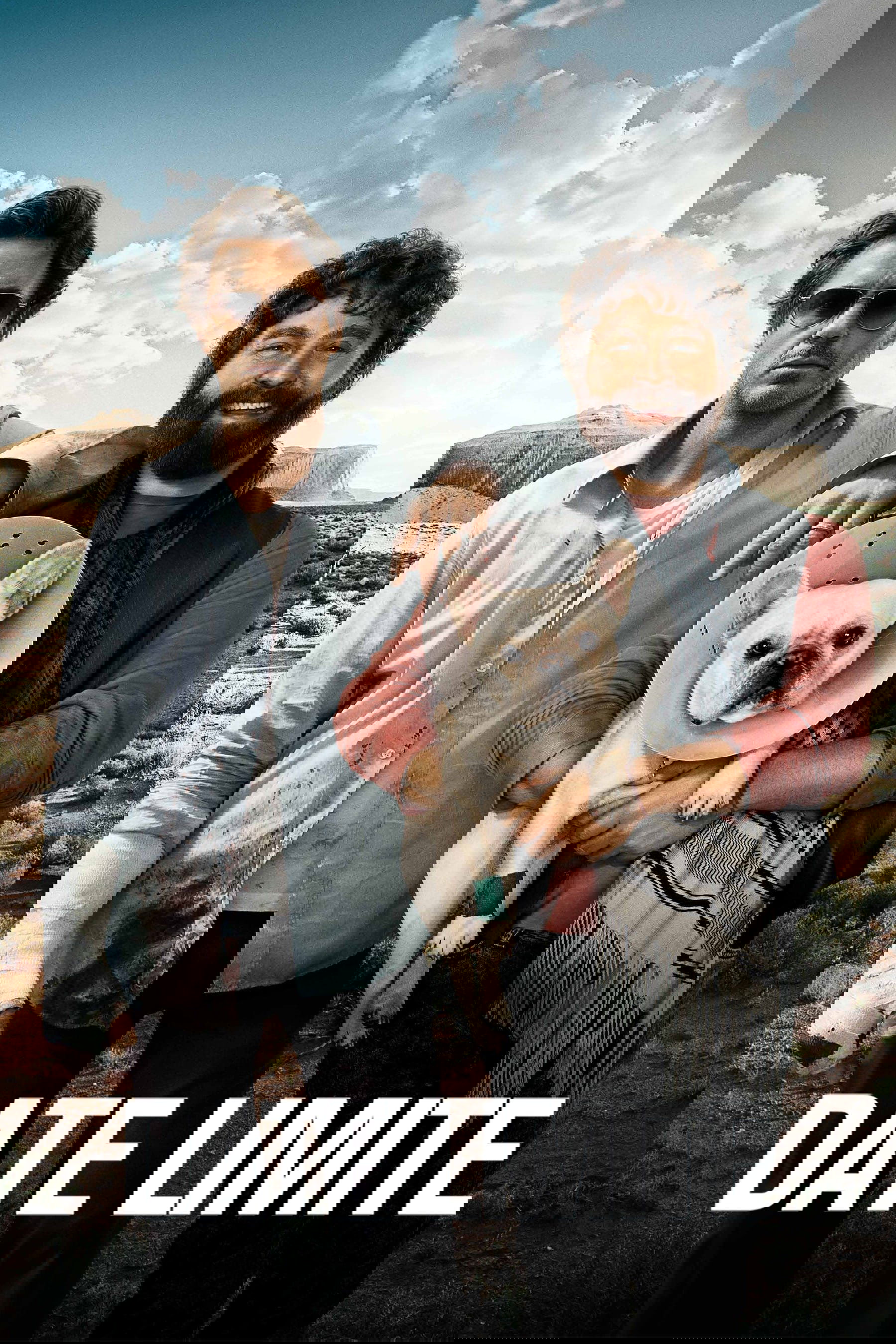 Affiche du film Due Date