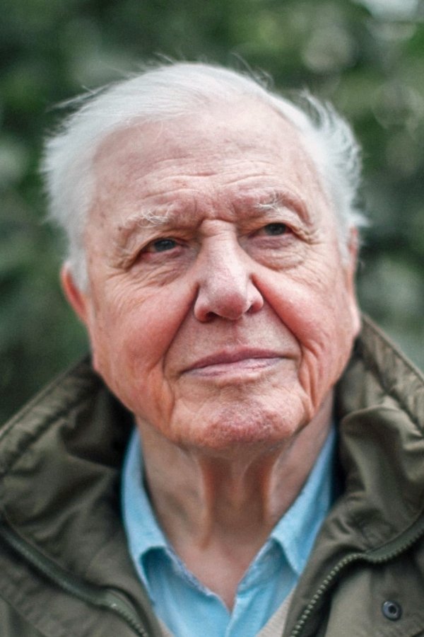 Foto de David Attenborough