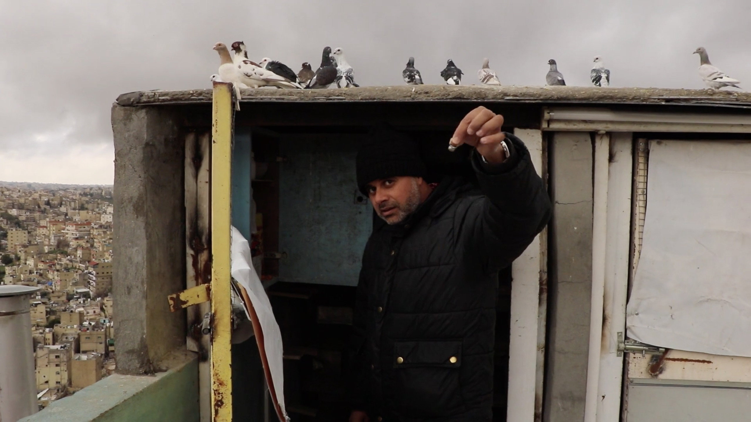 Director