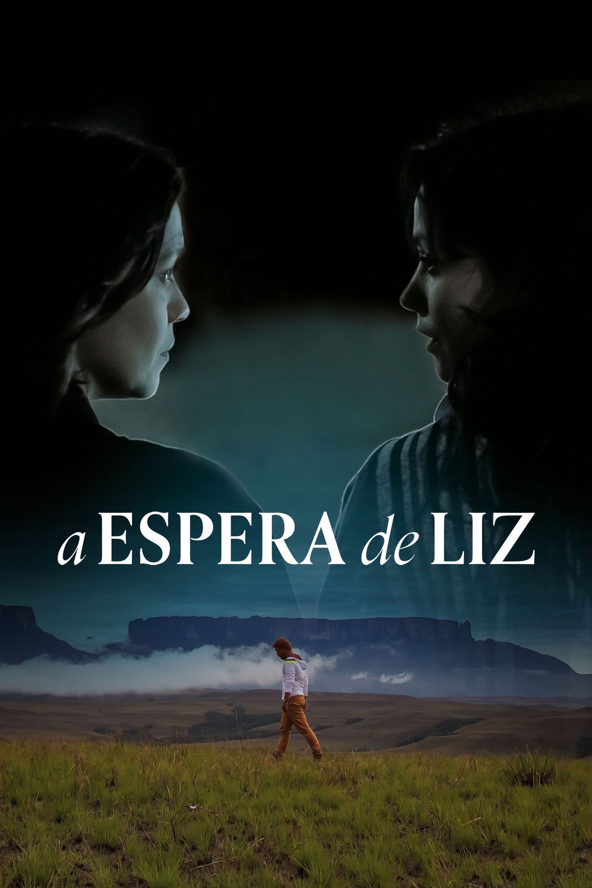 Poster de A Espera de Liz