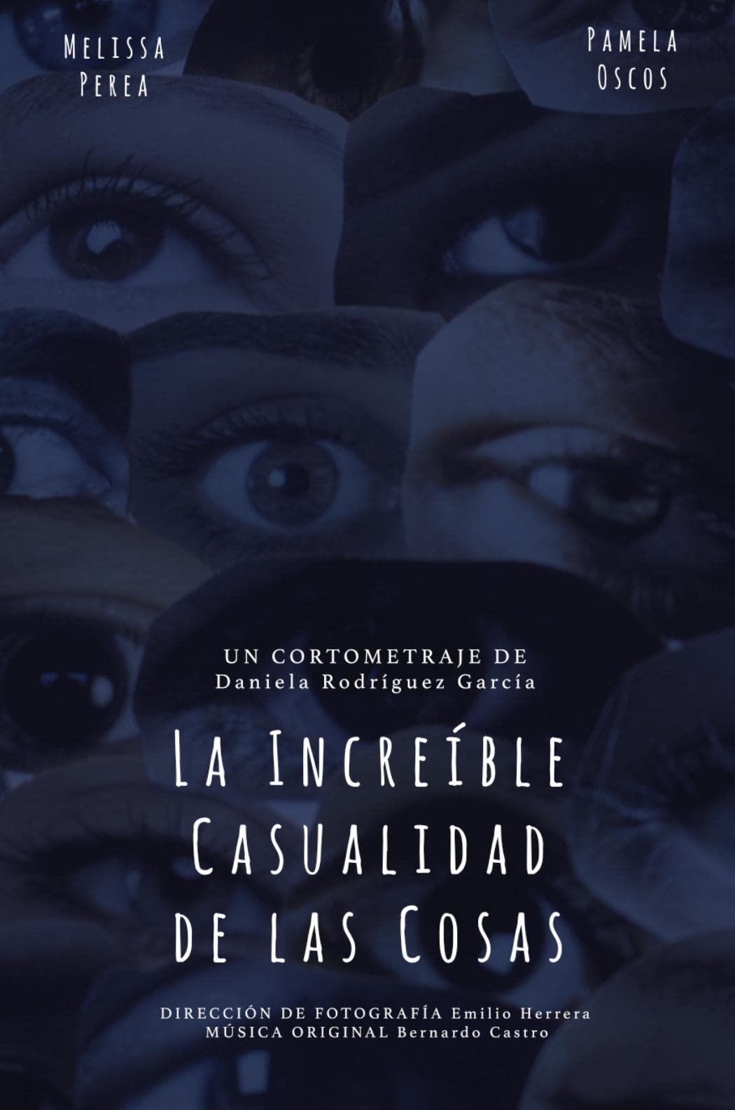 Poster of La Increíble Casualidad de las Cosas