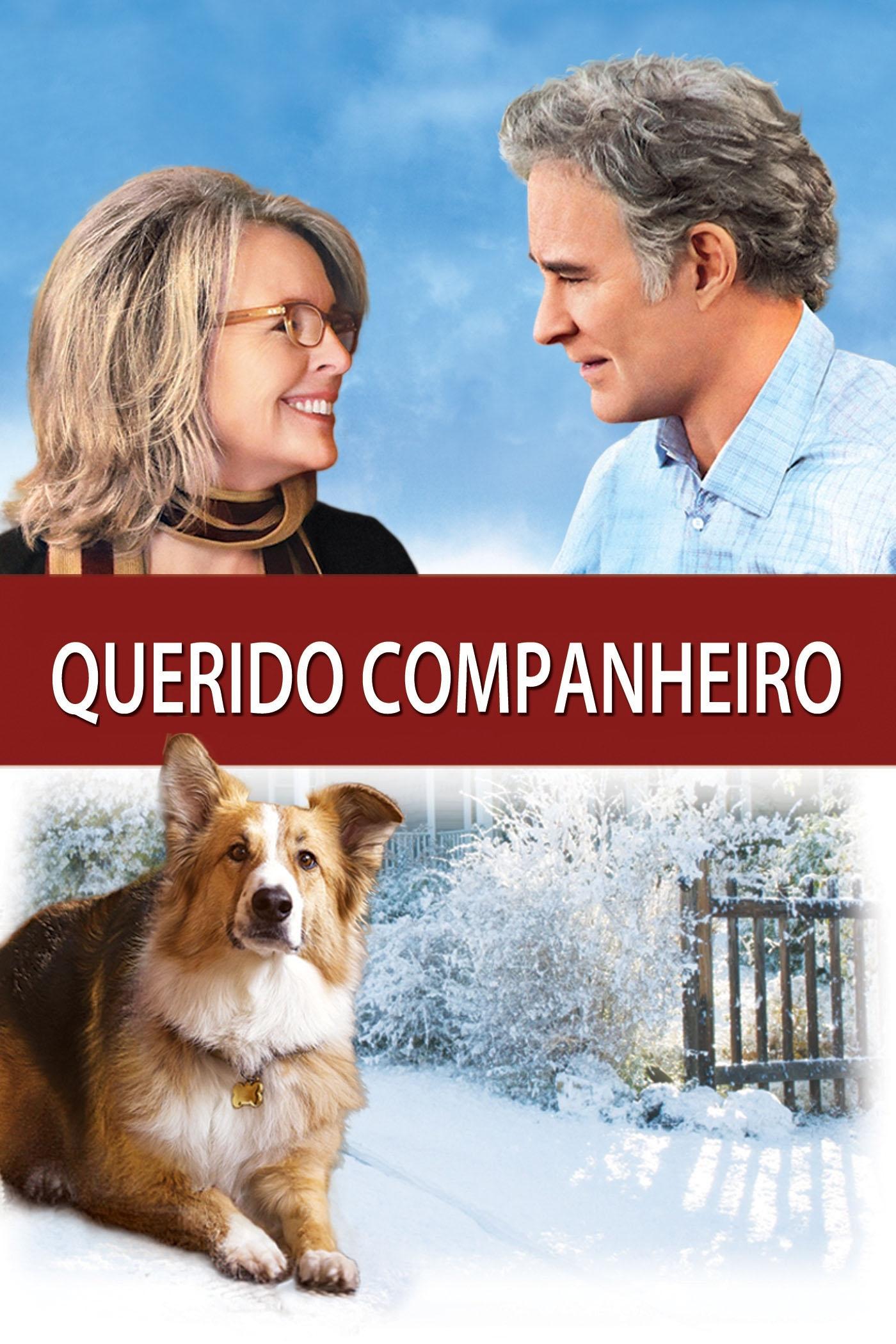 Poster de Querido Companheiro
