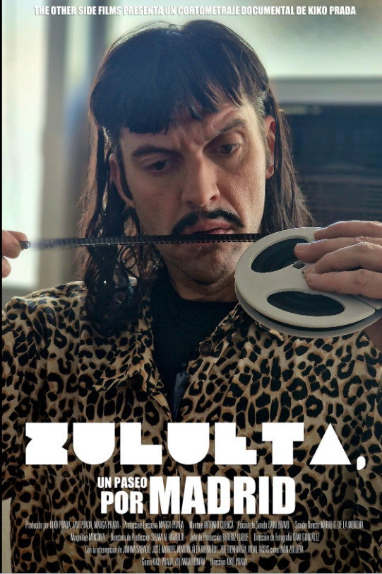 Poster de Zulueta, un paseo por Madrid