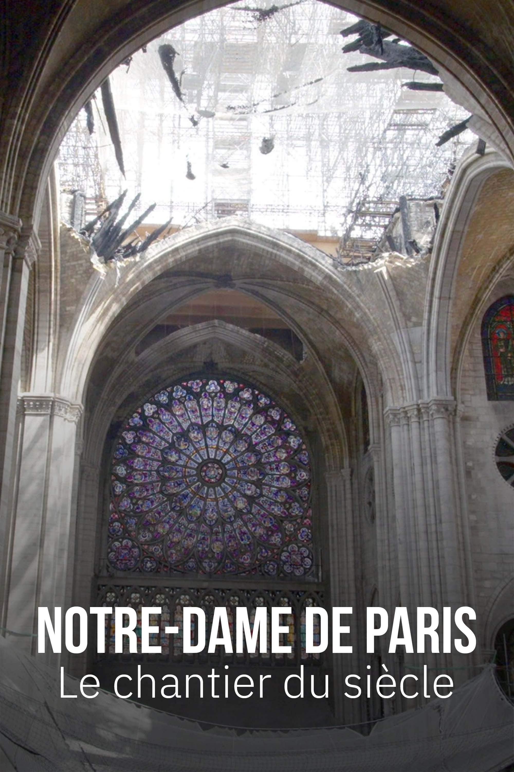 Poster de Notre-Dame de Paris, le chantier du siècle
