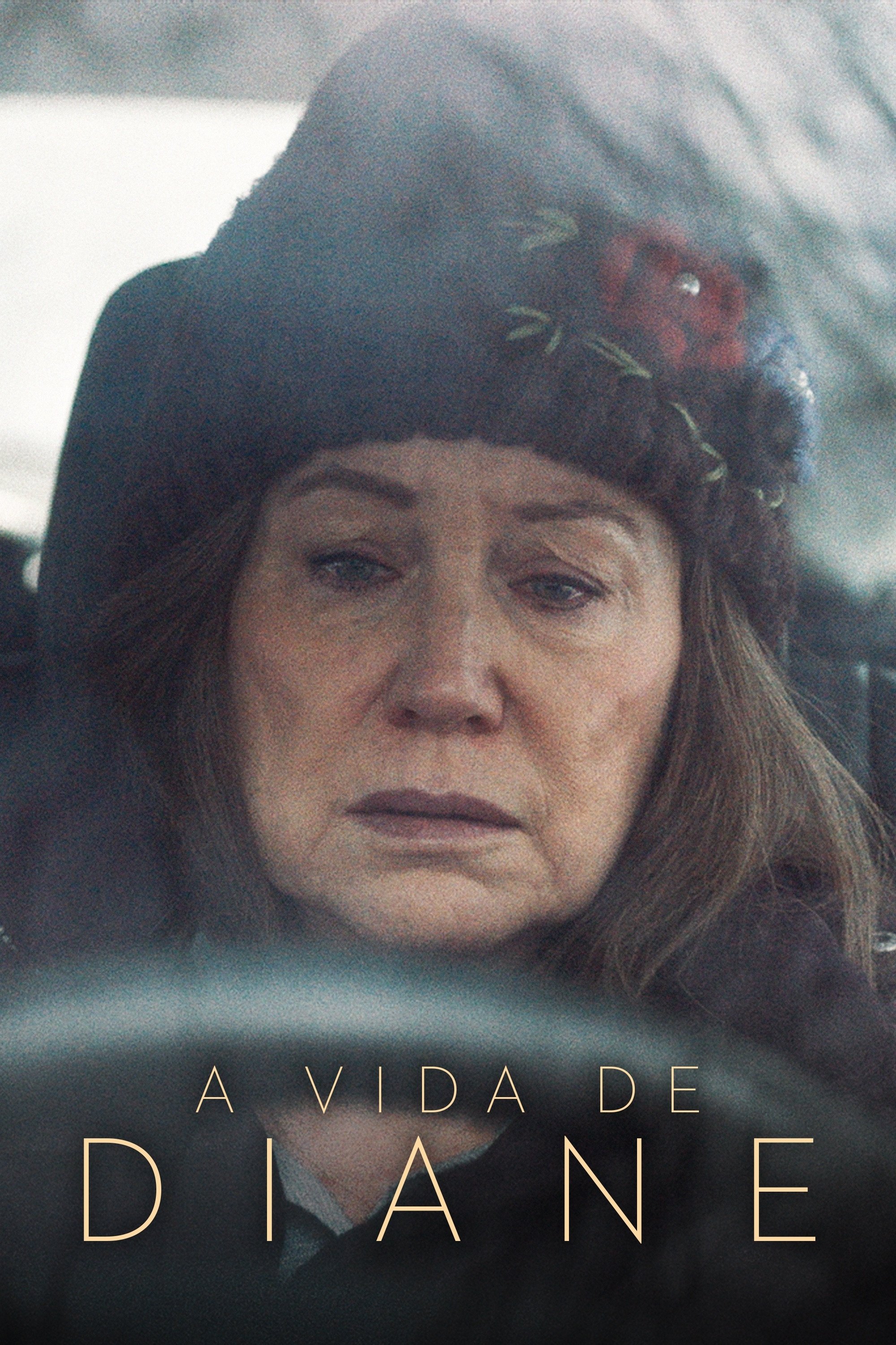Poster de A Vida de Diane