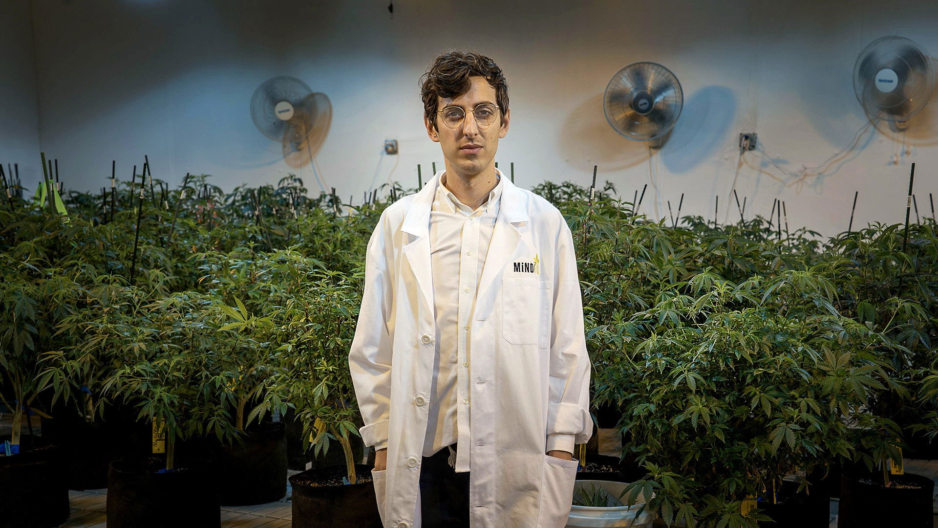 Beating Blindness & White Collar Weed