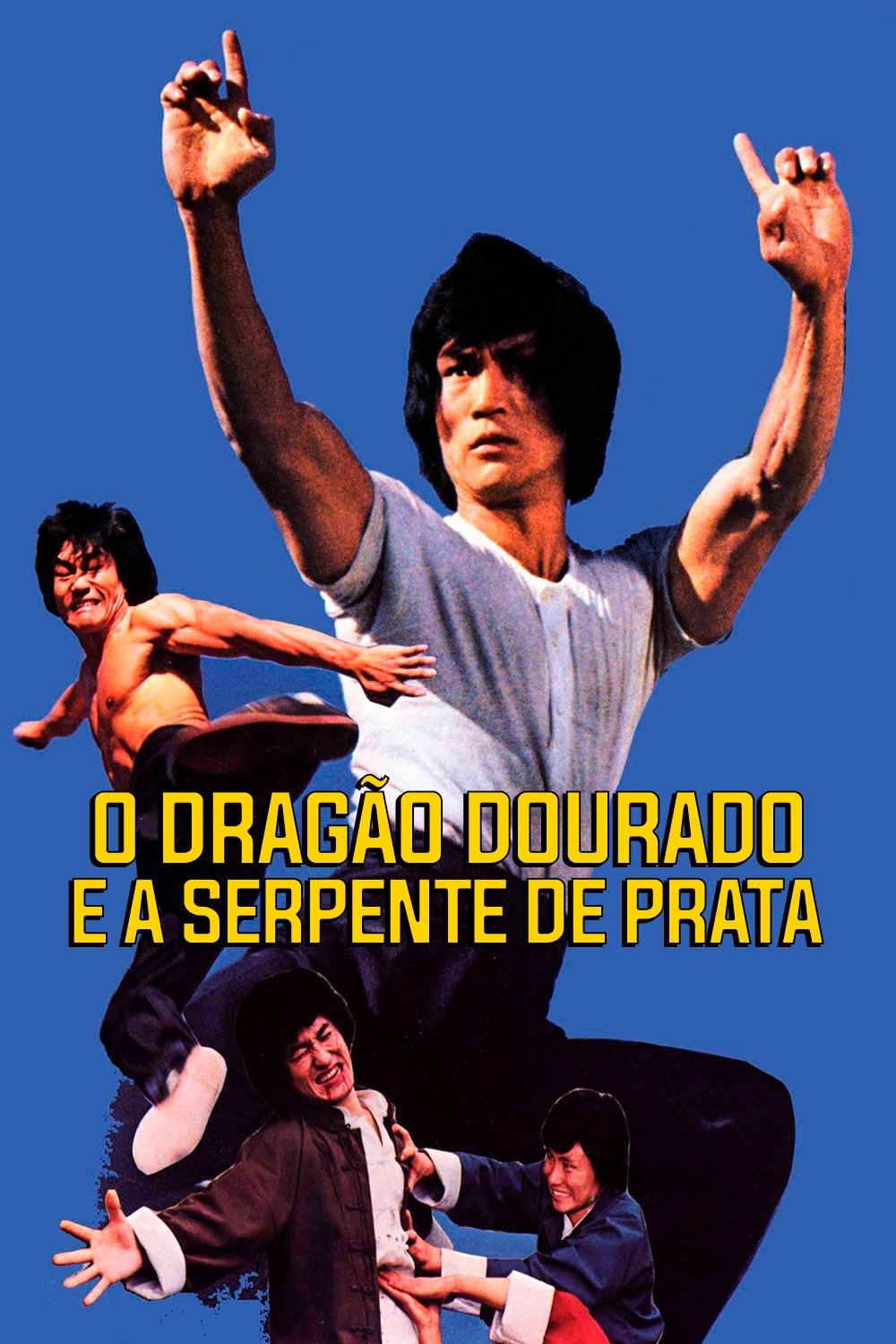 Poster de O Dragão Dourado e a Serpente de Prata